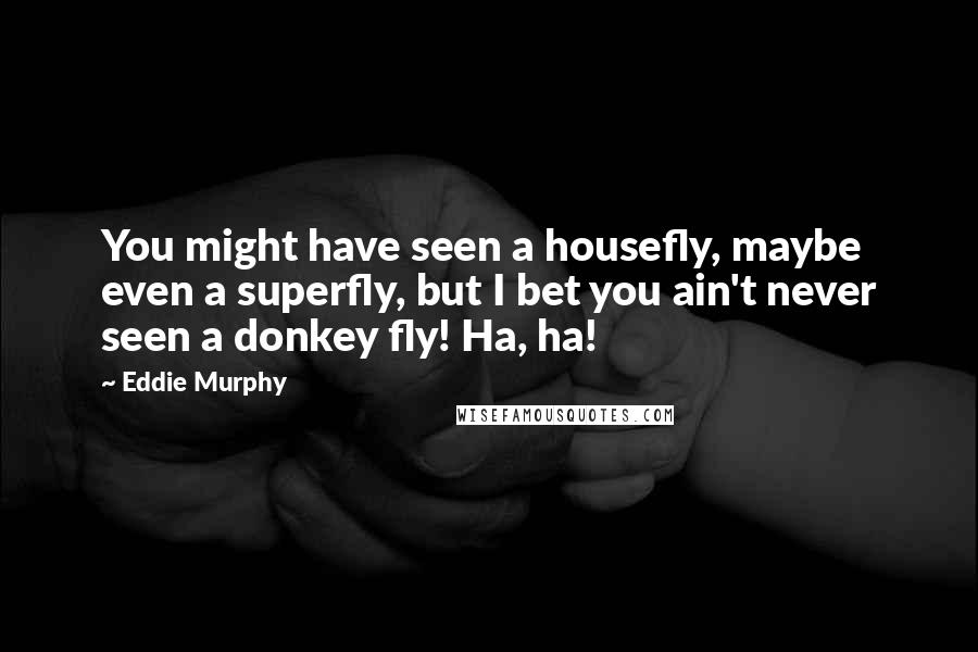Eddie Murphy Quotes: You might have seen a housefly, maybe even a superfly, but I bet you ain't never seen a donkey fly! Ha, ha!