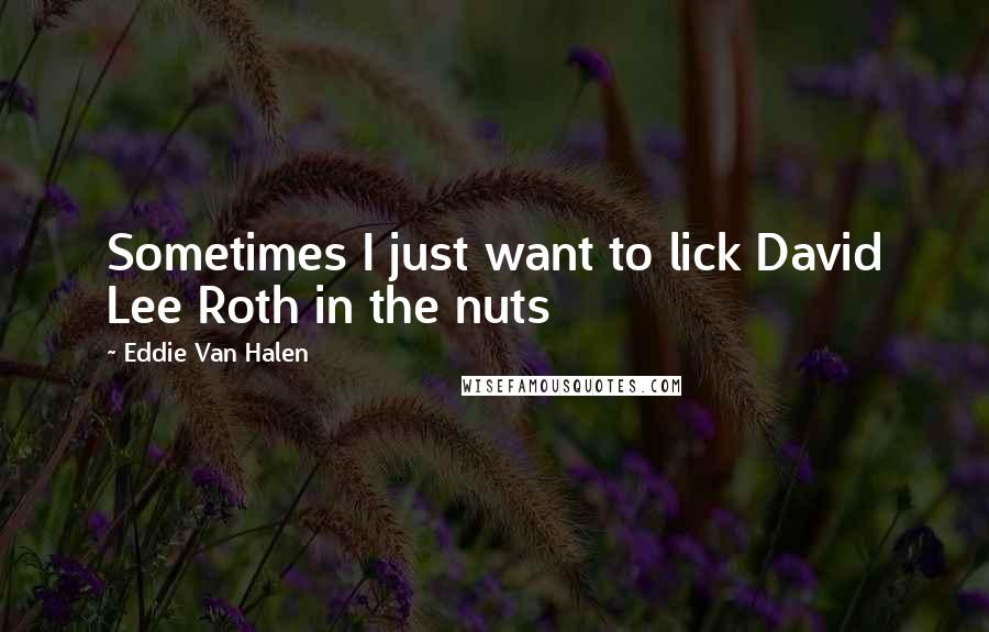 Eddie Van Halen Quotes: Sometimes I just want to lick David Lee Roth in the nuts