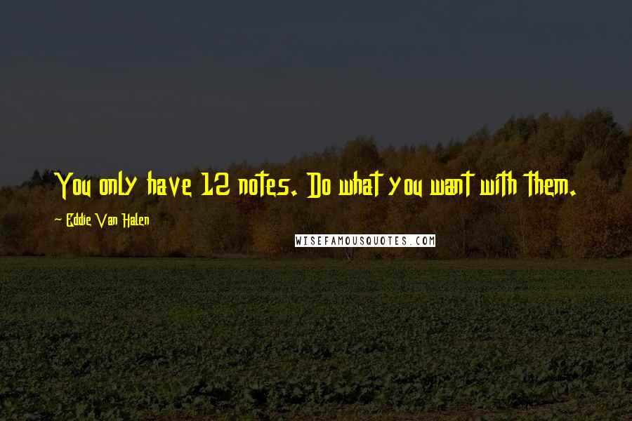 Eddie Van Halen Quotes: You only have 12 notes. Do what you want with them.