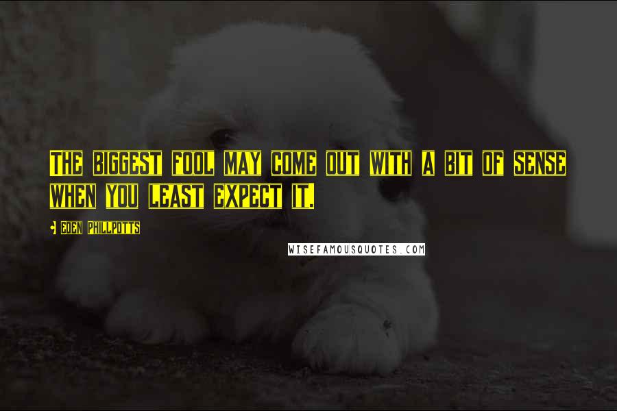 Eden Phillpotts Quotes: The biggest fool may come out with a bit of sense when you least expect it.