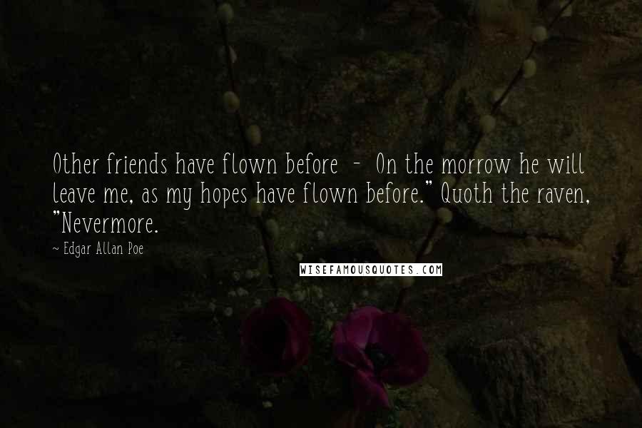 Edgar Allan Poe Quotes: Other friends have flown before  -  On the morrow he will leave me, as my hopes have flown before." Quoth the raven, "Nevermore.