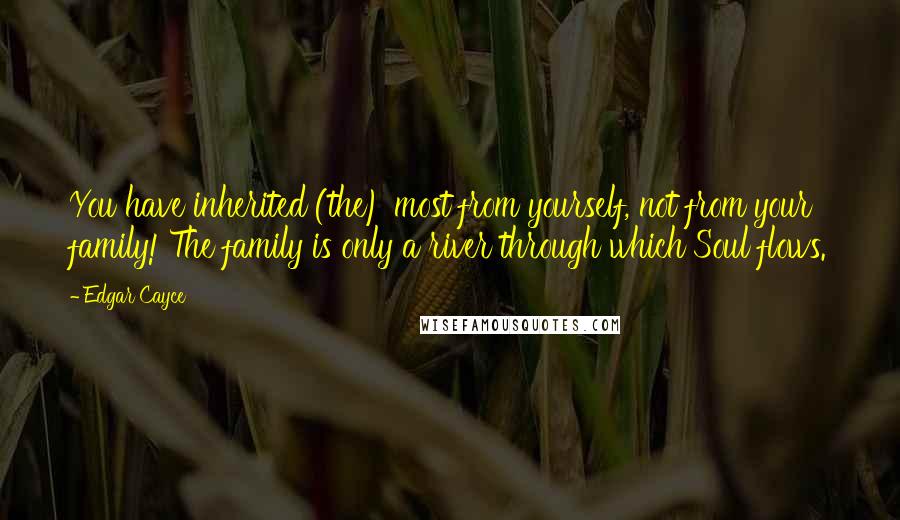 Edgar Cayce Quotes: You have inherited (the) most from yourself, not from your family! The family is only a river through which Soul flows.