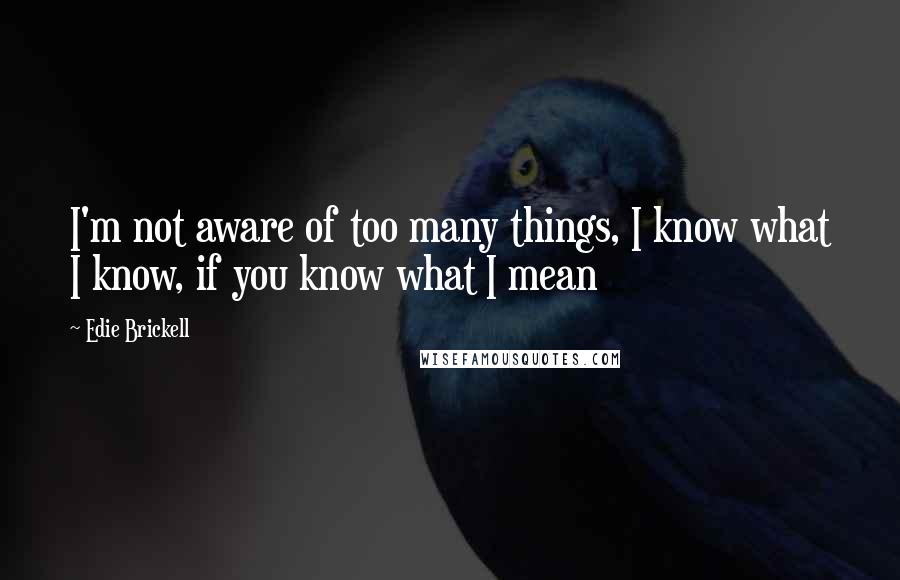 Edie Brickell Quotes: I'm not aware of too many things, I know what I know, if you know what I mean