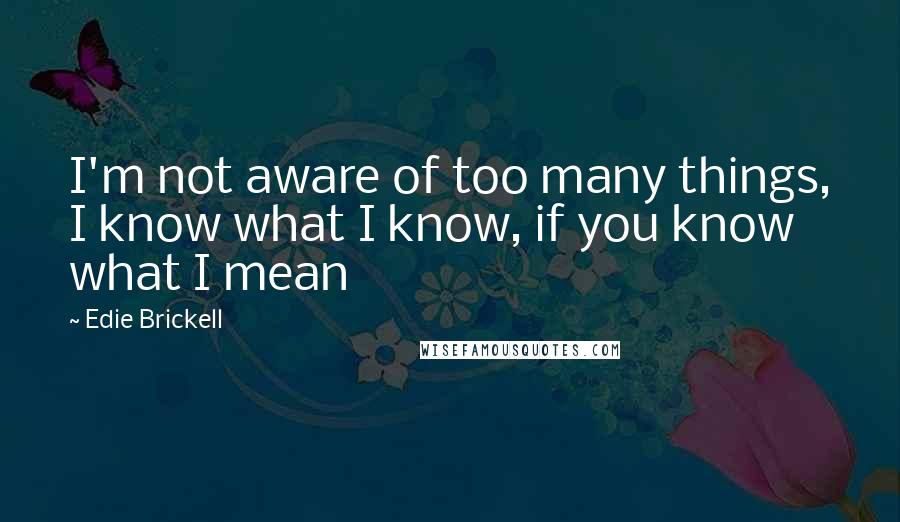 Edie Brickell Quotes: I'm not aware of too many things, I know what I know, if you know what I mean