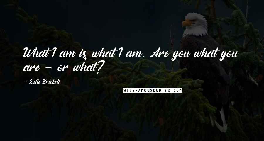 Edie Brickell Quotes: What I am is what I am. Are you what you are - or what?