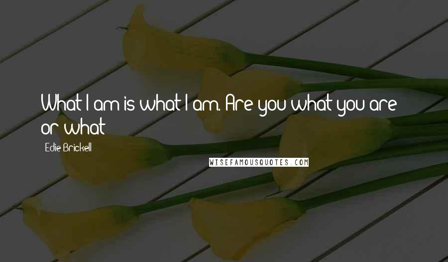 Edie Brickell Quotes: What I am is what I am. Are you what you are - or what?