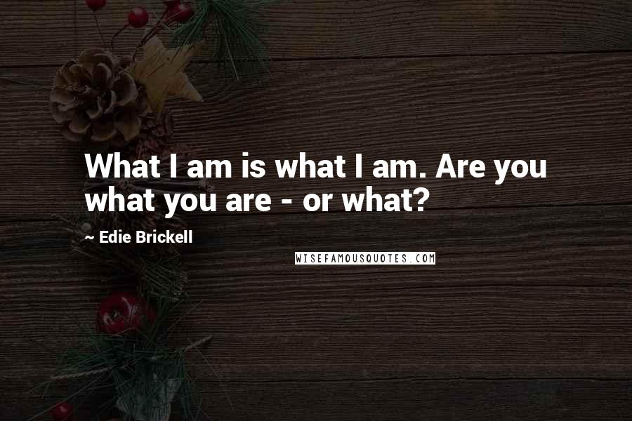 Edie Brickell Quotes: What I am is what I am. Are you what you are - or what?