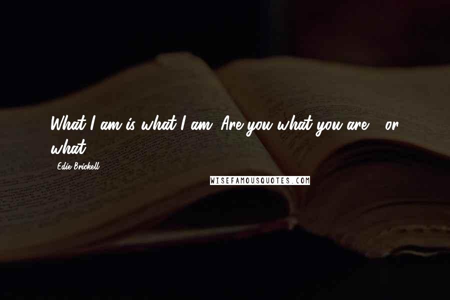 Edie Brickell Quotes: What I am is what I am. Are you what you are - or what?