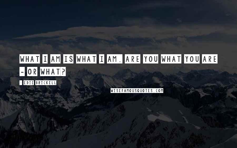 Edie Brickell Quotes: What I am is what I am. Are you what you are - or what?