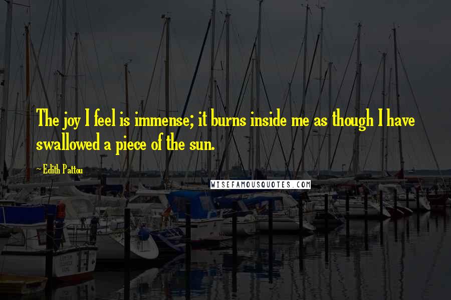 Edith Pattou Quotes: The joy I feel is immense; it burns inside me as though I have swallowed a piece of the sun.