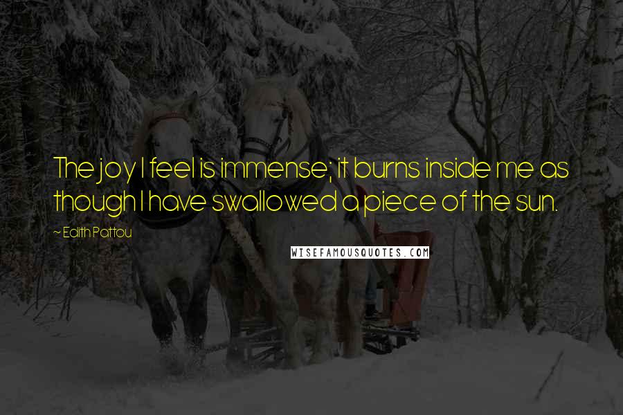 Edith Pattou Quotes: The joy I feel is immense; it burns inside me as though I have swallowed a piece of the sun.