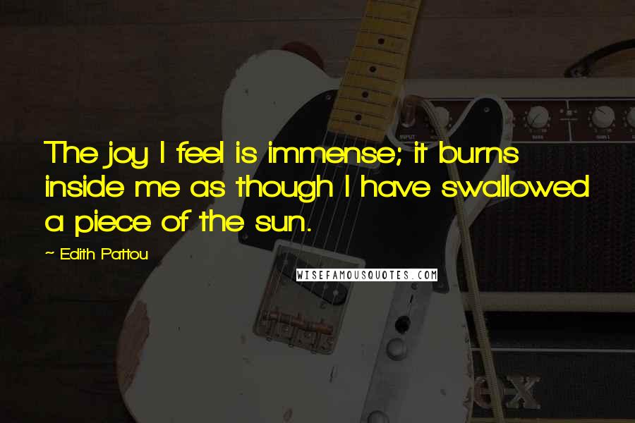 Edith Pattou Quotes: The joy I feel is immense; it burns inside me as though I have swallowed a piece of the sun.