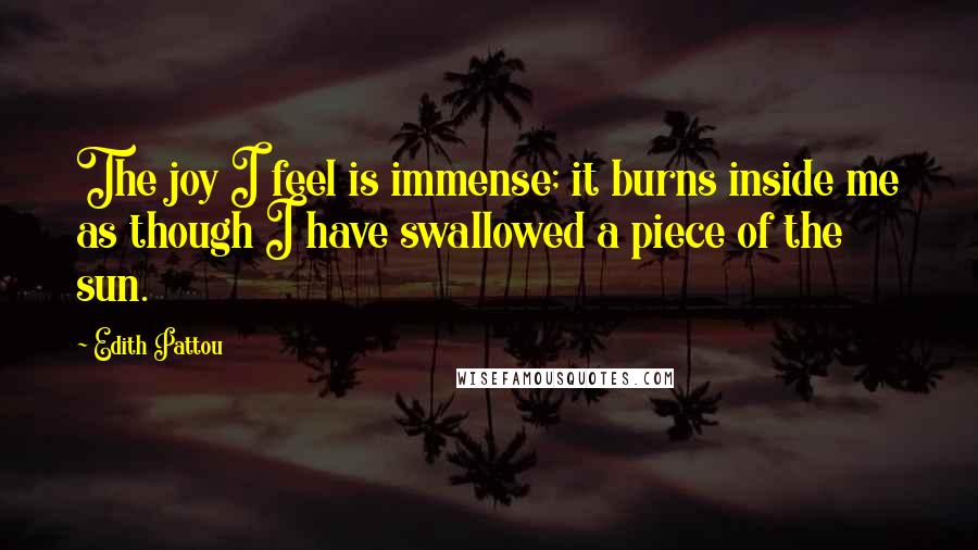 Edith Pattou Quotes: The joy I feel is immense; it burns inside me as though I have swallowed a piece of the sun.
