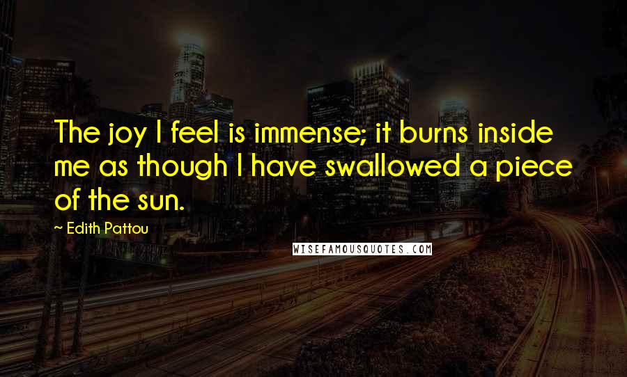 Edith Pattou Quotes: The joy I feel is immense; it burns inside me as though I have swallowed a piece of the sun.