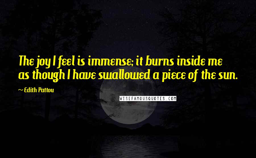 Edith Pattou Quotes: The joy I feel is immense; it burns inside me as though I have swallowed a piece of the sun.