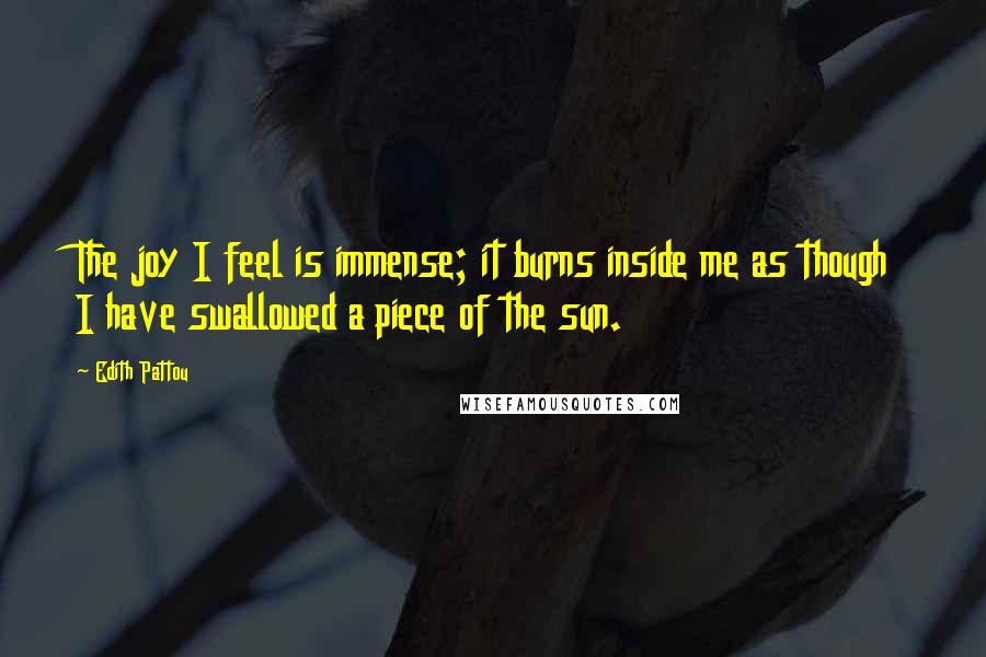 Edith Pattou Quotes: The joy I feel is immense; it burns inside me as though I have swallowed a piece of the sun.