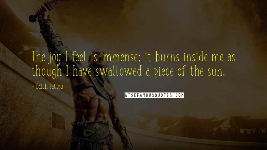 Edith Pattou Quotes: The joy I feel is immense; it burns inside me as though I have swallowed a piece of the sun.