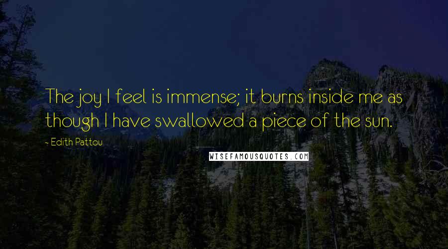Edith Pattou Quotes: The joy I feel is immense; it burns inside me as though I have swallowed a piece of the sun.
