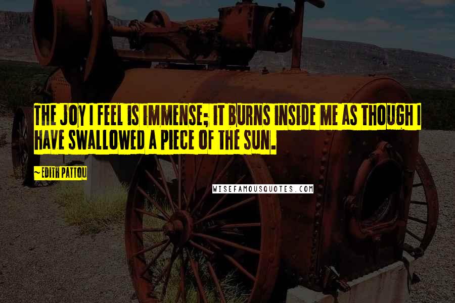 Edith Pattou Quotes: The joy I feel is immense; it burns inside me as though I have swallowed a piece of the sun.