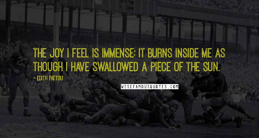 Edith Pattou Quotes: The joy I feel is immense; it burns inside me as though I have swallowed a piece of the sun.