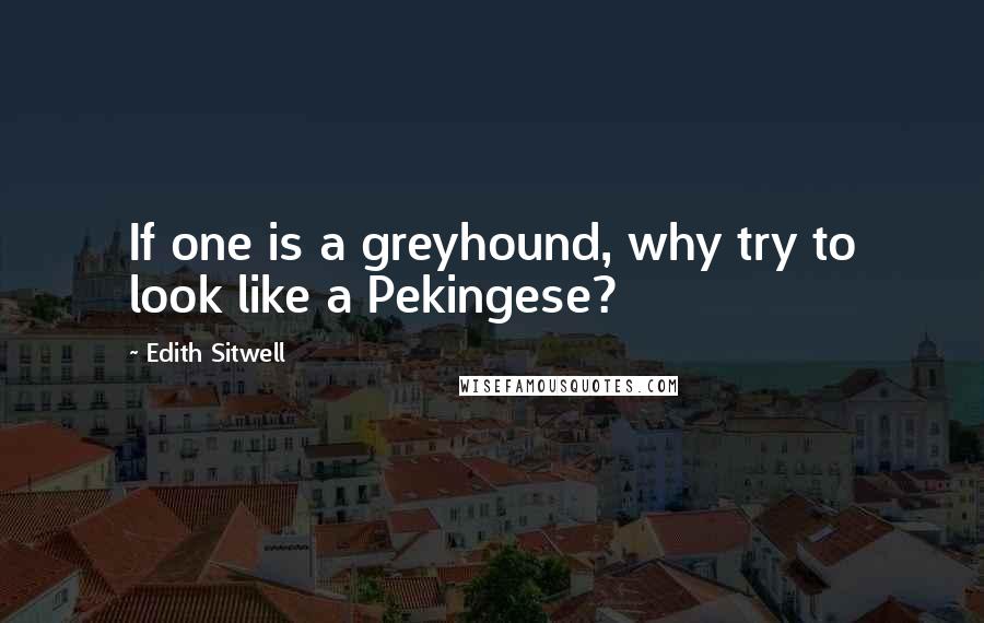 Edith Sitwell Quotes: If one is a greyhound, why try to look like a Pekingese?