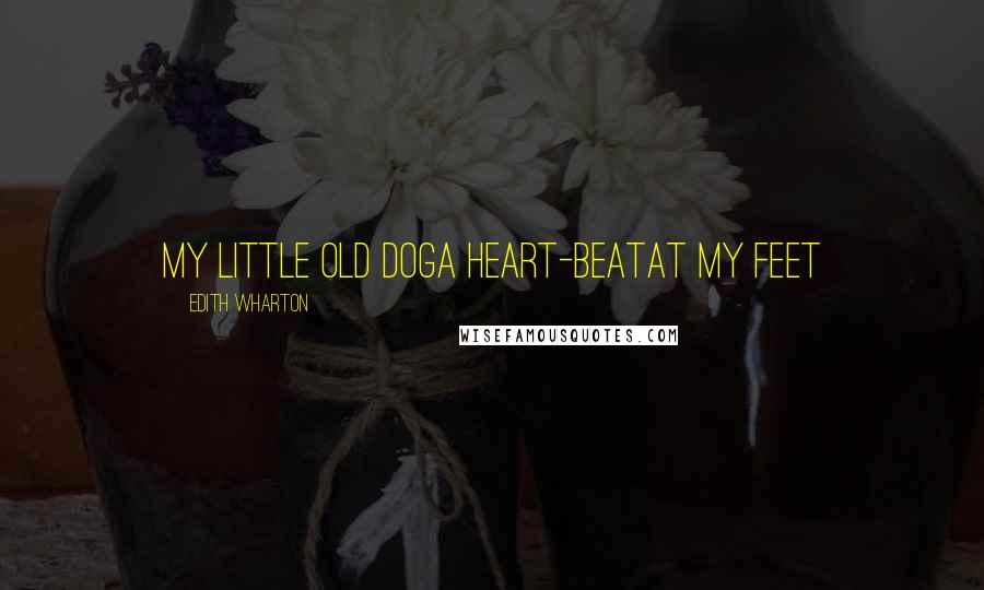 Edith Wharton Quotes: My little old doga heart-beatat my feet