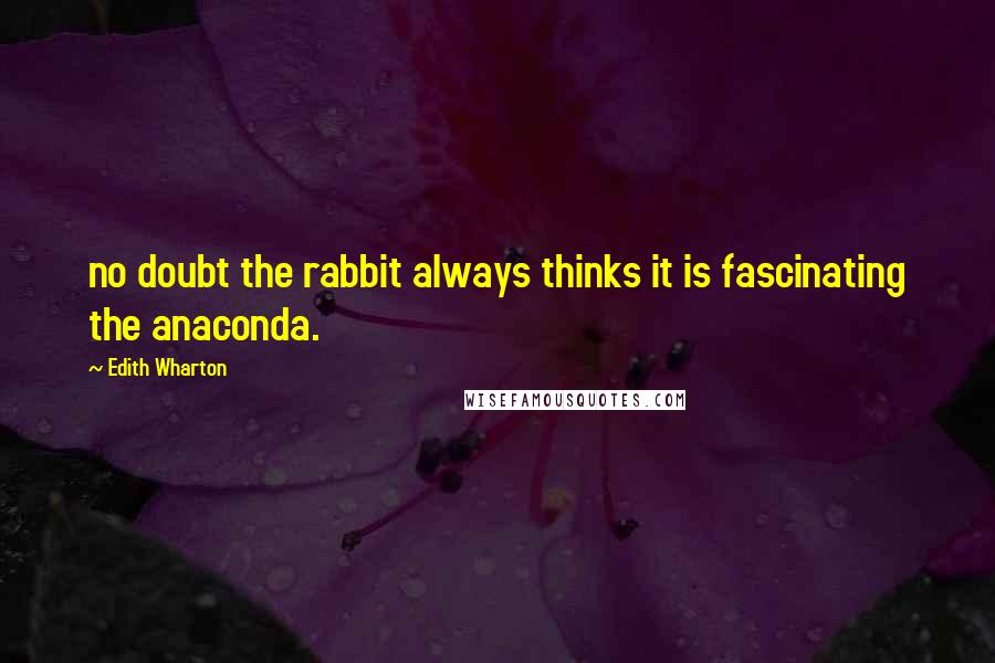 Edith Wharton Quotes: no doubt the rabbit always thinks it is fascinating the anaconda.