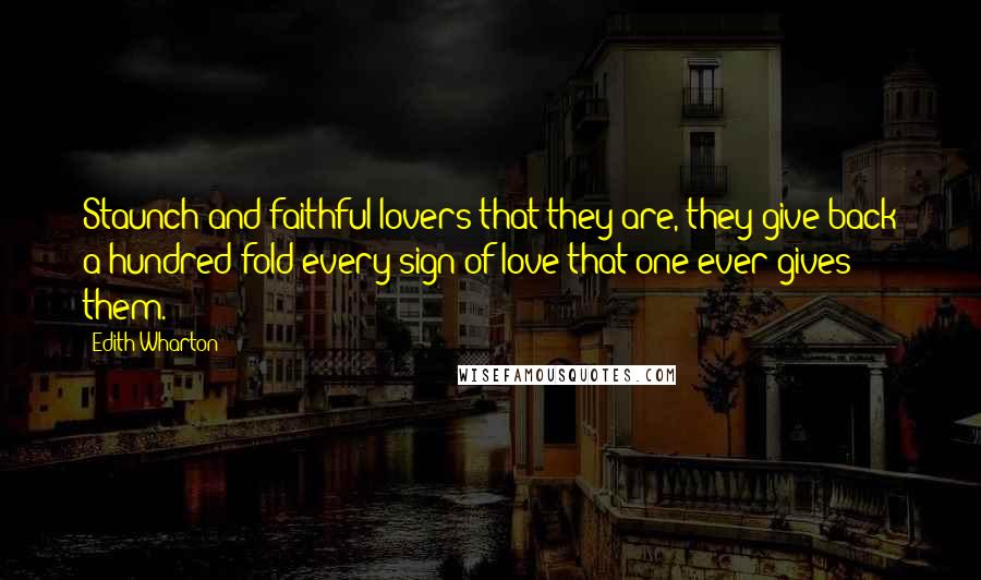 Edith Wharton Quotes: Staunch and faithful lovers that they are, they give back a hundred fold every sign of love that one ever gives them.