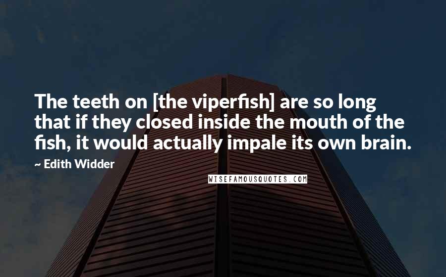 Edith Widder Quotes: The teeth on [the viperfish] are so long that if they closed inside the mouth of the fish, it would actually impale its own brain.