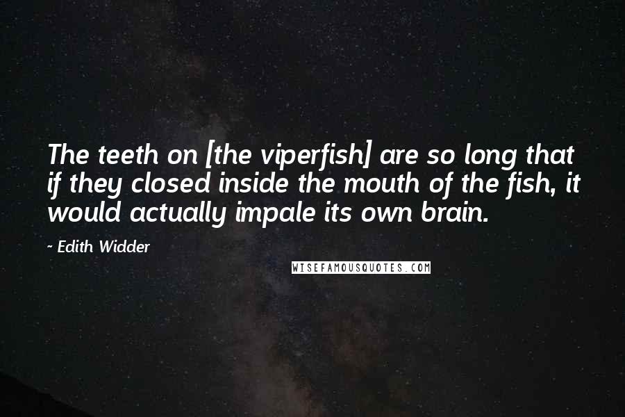 Edith Widder Quotes: The teeth on [the viperfish] are so long that if they closed inside the mouth of the fish, it would actually impale its own brain.