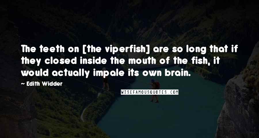 Edith Widder Quotes: The teeth on [the viperfish] are so long that if they closed inside the mouth of the fish, it would actually impale its own brain.