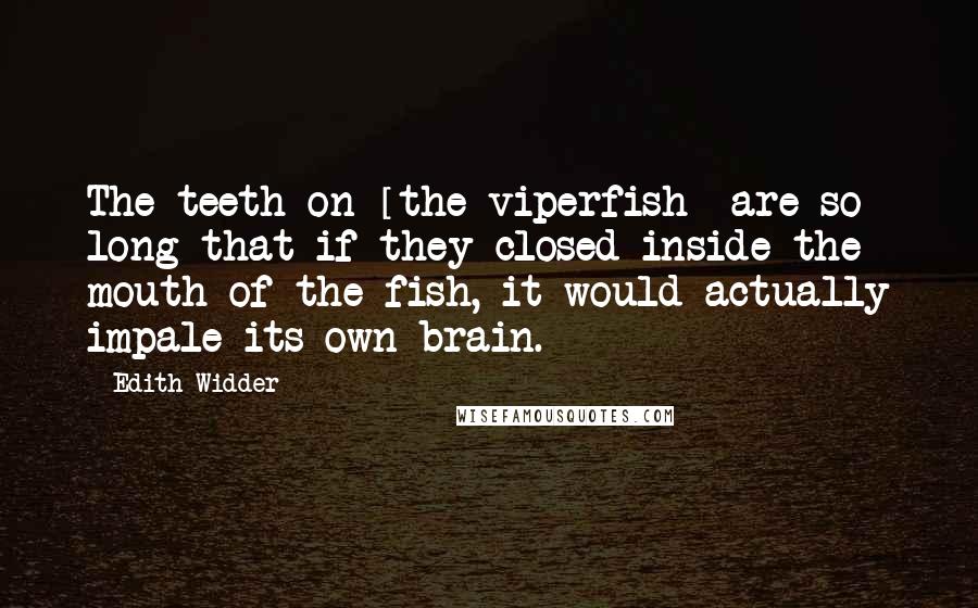 Edith Widder Quotes: The teeth on [the viperfish] are so long that if they closed inside the mouth of the fish, it would actually impale its own brain.
