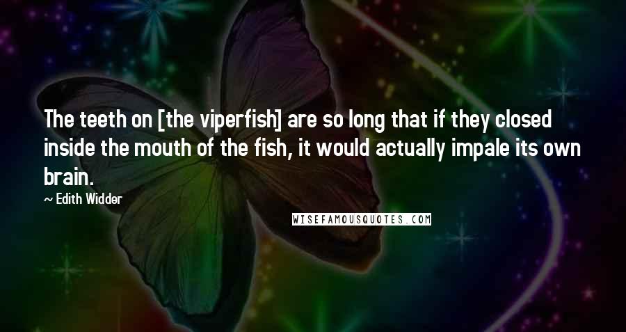 Edith Widder Quotes: The teeth on [the viperfish] are so long that if they closed inside the mouth of the fish, it would actually impale its own brain.