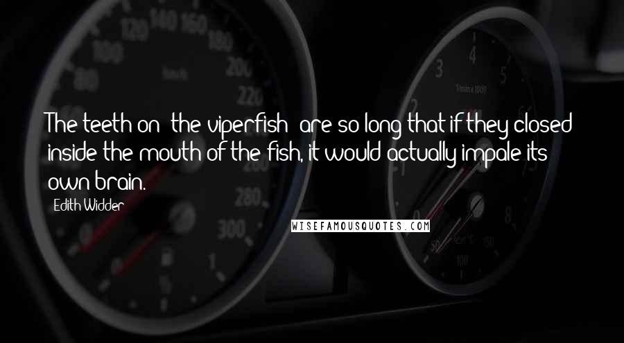 Edith Widder Quotes: The teeth on [the viperfish] are so long that if they closed inside the mouth of the fish, it would actually impale its own brain.