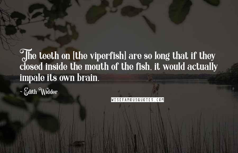 Edith Widder Quotes: The teeth on [the viperfish] are so long that if they closed inside the mouth of the fish, it would actually impale its own brain.