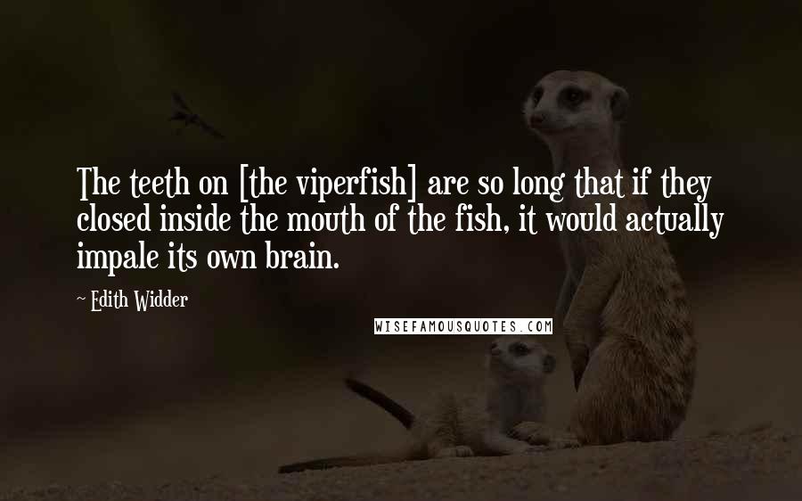 Edith Widder Quotes: The teeth on [the viperfish] are so long that if they closed inside the mouth of the fish, it would actually impale its own brain.