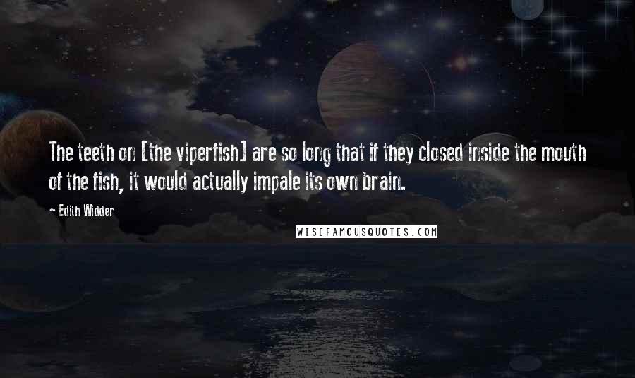 Edith Widder Quotes: The teeth on [the viperfish] are so long that if they closed inside the mouth of the fish, it would actually impale its own brain.