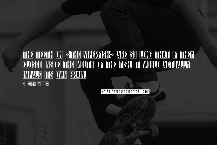 Edith Widder Quotes: The teeth on [the viperfish] are so long that if they closed inside the mouth of the fish, it would actually impale its own brain.