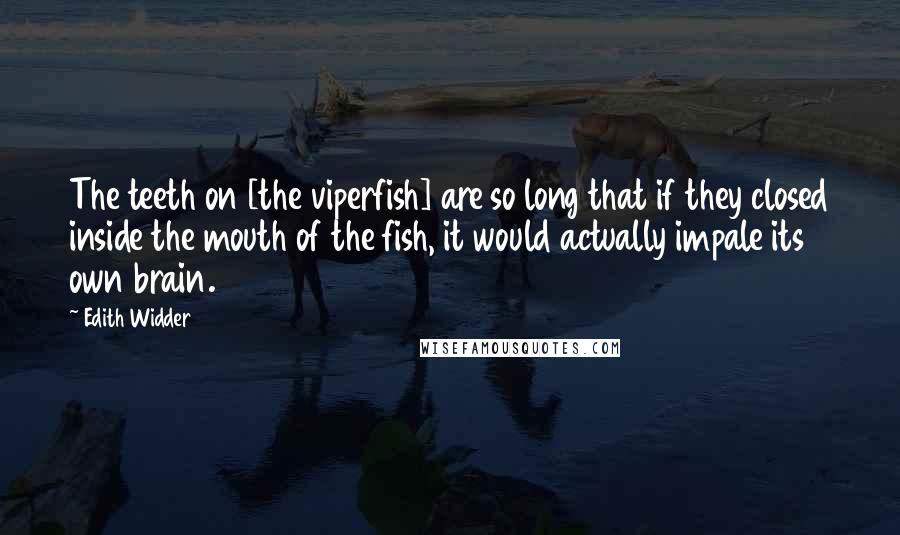 Edith Widder Quotes: The teeth on [the viperfish] are so long that if they closed inside the mouth of the fish, it would actually impale its own brain.