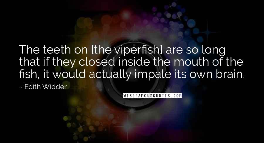 Edith Widder Quotes: The teeth on [the viperfish] are so long that if they closed inside the mouth of the fish, it would actually impale its own brain.