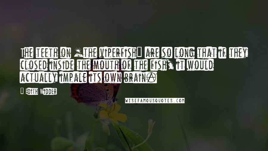 Edith Widder Quotes: The teeth on [the viperfish] are so long that if they closed inside the mouth of the fish, it would actually impale its own brain.