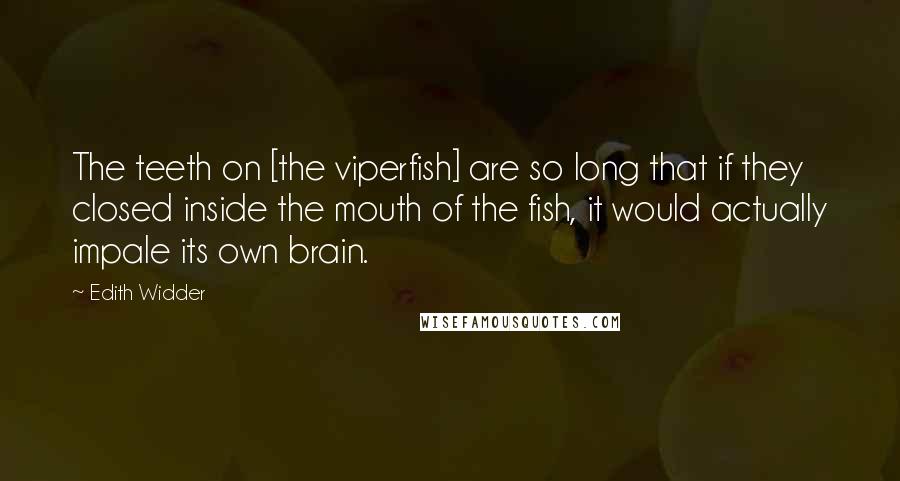 Edith Widder Quotes: The teeth on [the viperfish] are so long that if they closed inside the mouth of the fish, it would actually impale its own brain.