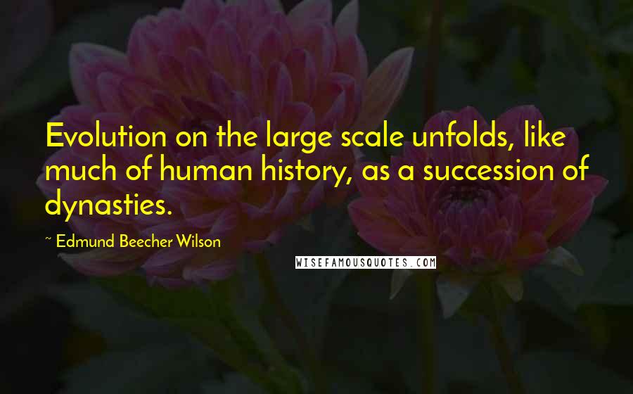 Edmund Beecher Wilson Quotes: Evolution on the large scale unfolds, like much of human history, as a succession of dynasties.