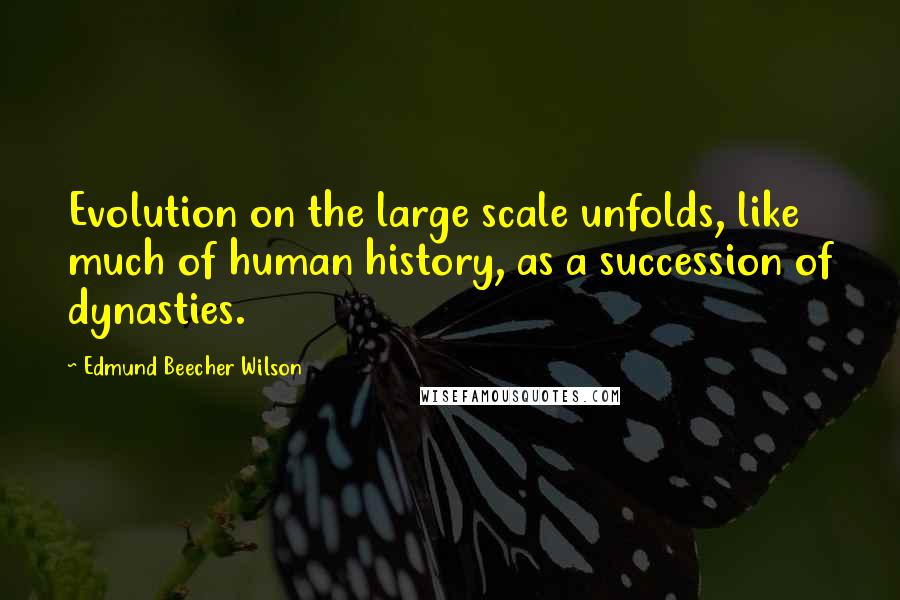 Edmund Beecher Wilson Quotes: Evolution on the large scale unfolds, like much of human history, as a succession of dynasties.