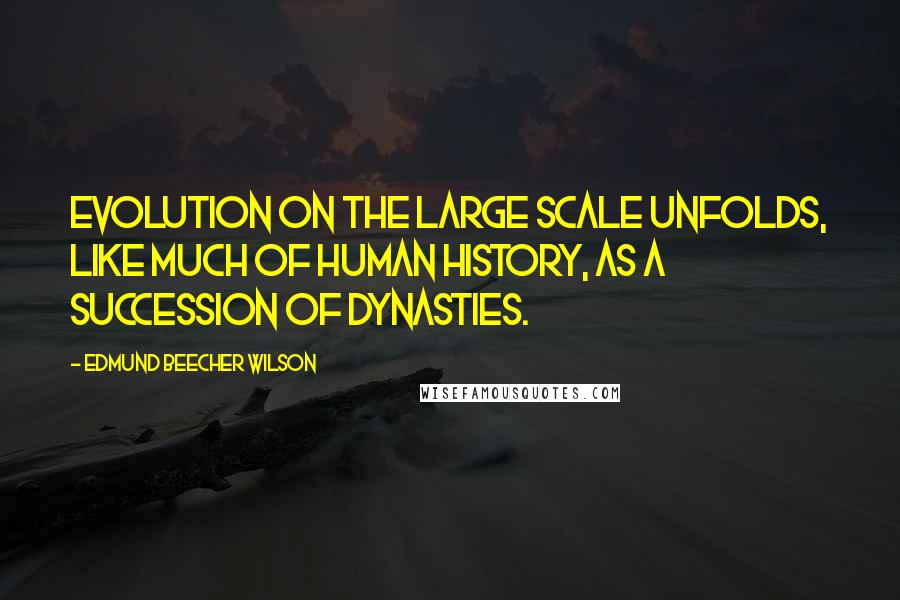 Edmund Beecher Wilson Quotes: Evolution on the large scale unfolds, like much of human history, as a succession of dynasties.