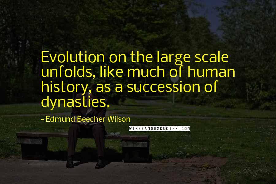 Edmund Beecher Wilson Quotes: Evolution on the large scale unfolds, like much of human history, as a succession of dynasties.