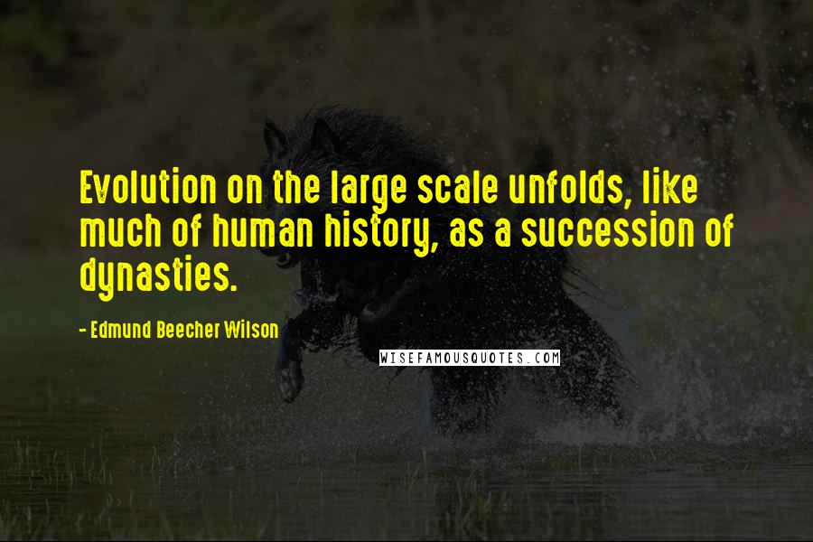 Edmund Beecher Wilson Quotes: Evolution on the large scale unfolds, like much of human history, as a succession of dynasties.