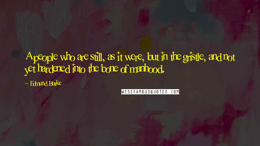 Edmund Burke Quotes: A people who are still, as it were, but in the gristle, and not yet hardened into the bone of manhood.