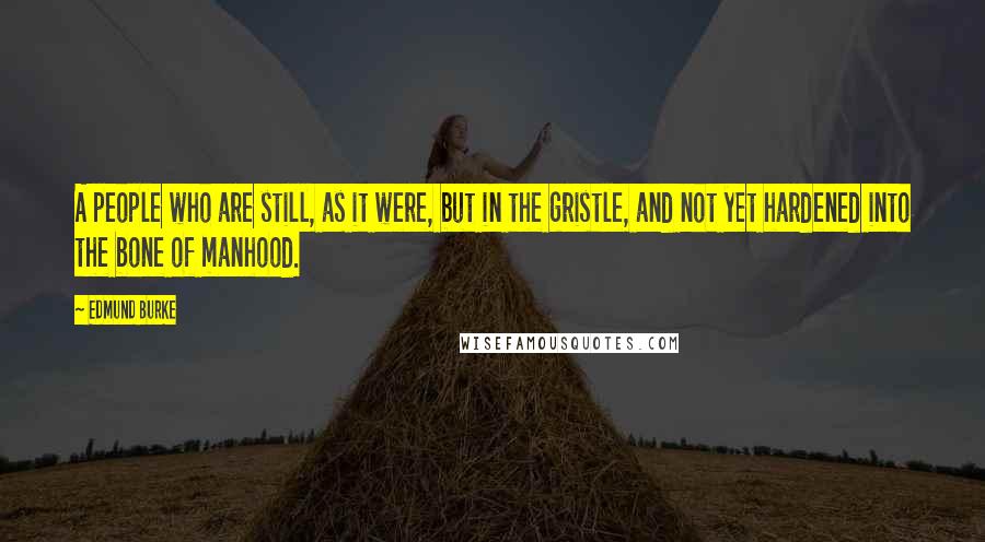 Edmund Burke Quotes: A people who are still, as it were, but in the gristle, and not yet hardened into the bone of manhood.