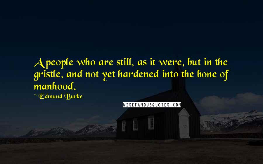 Edmund Burke Quotes: A people who are still, as it were, but in the gristle, and not yet hardened into the bone of manhood.